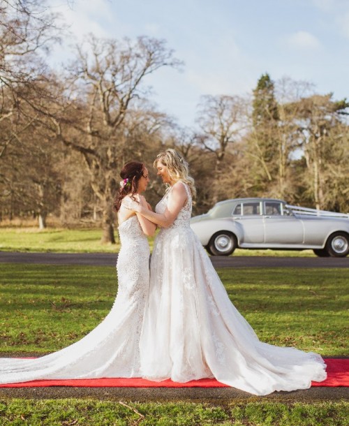 The Wonders of The Wedding Flock